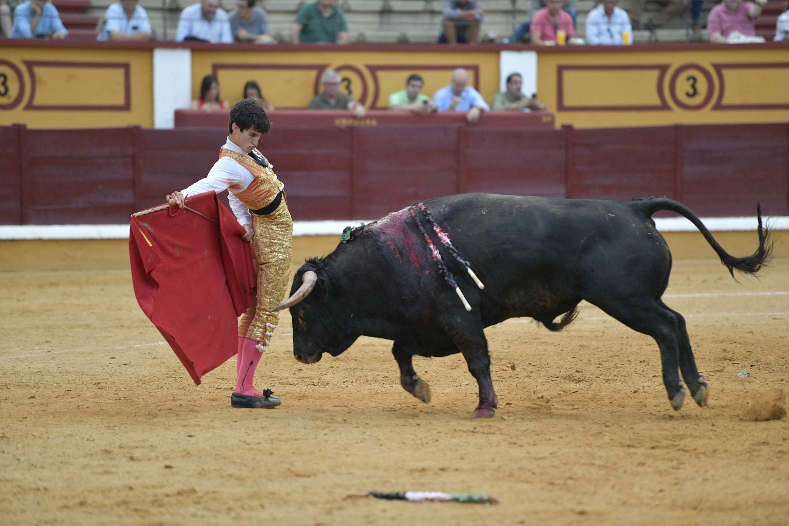 Imágenes de la novillada de la Feria de San Juan de Badajoz
