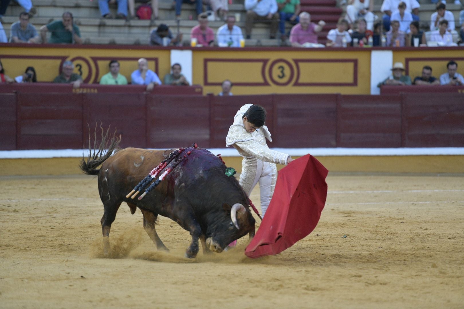 Imágenes de la novillada de la Feria de San Juan de Badajoz