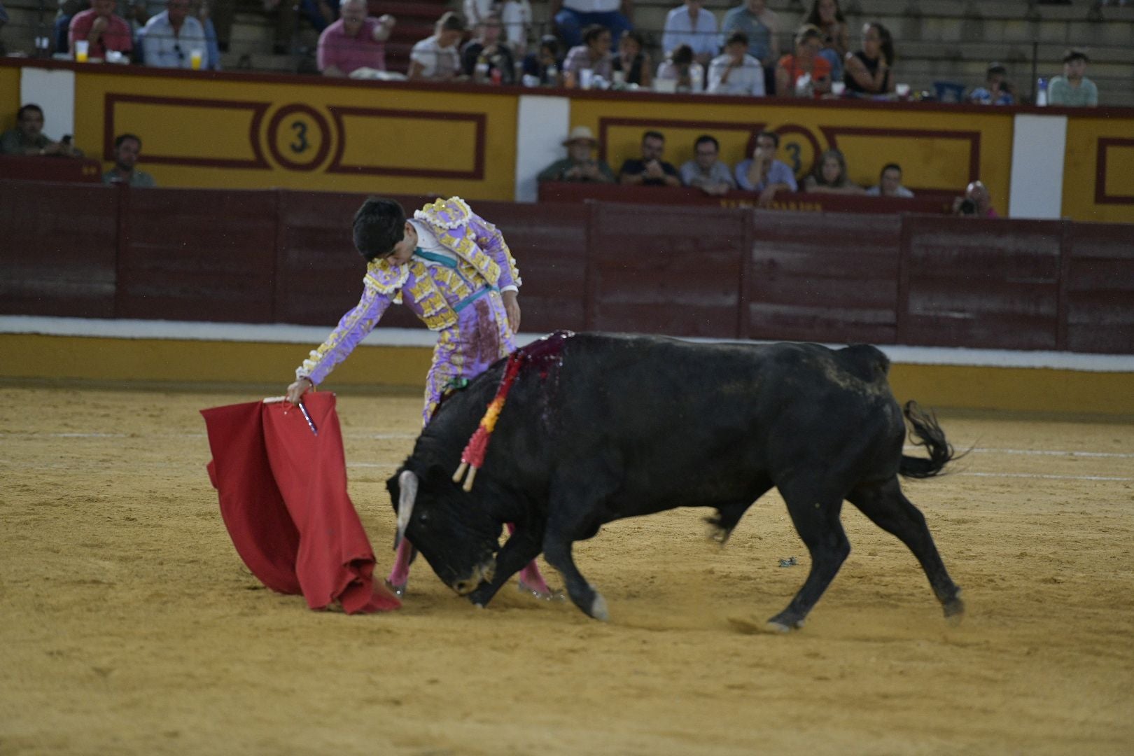 Imágenes de la novillada de la Feria de San Juan de Badajoz