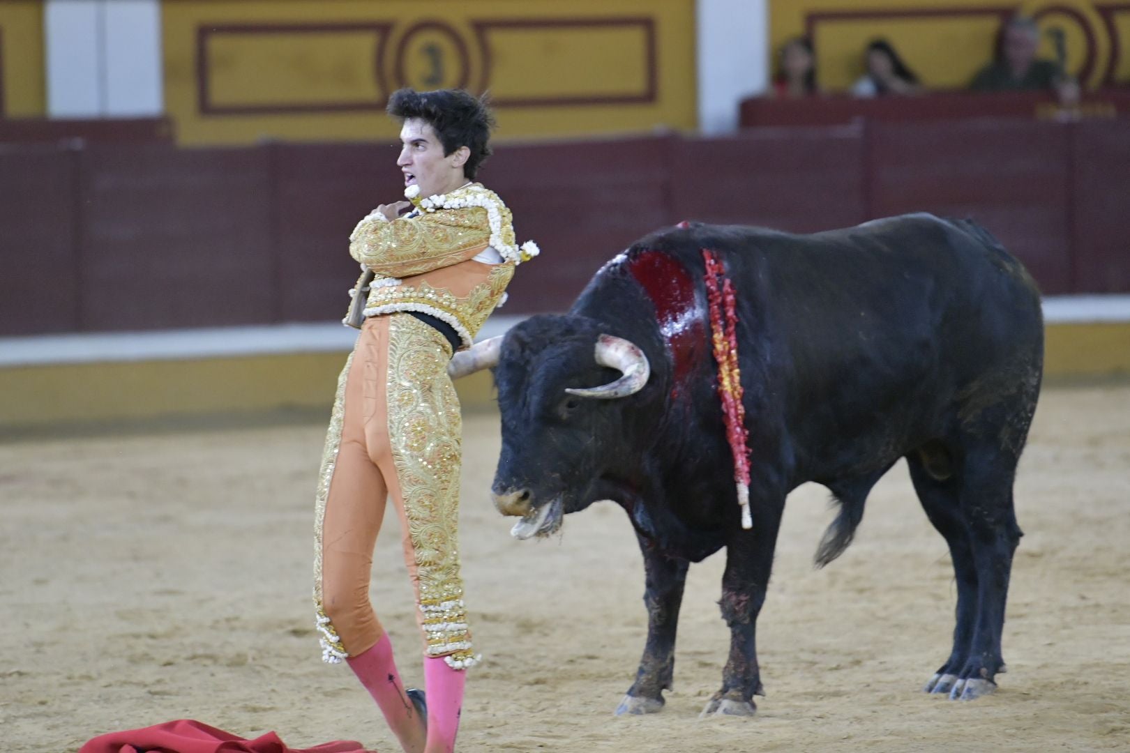 Imágenes de la novillada de la Feria de San Juan de Badajoz