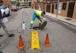 Un operario de Valoriza sesinsecta el interior de una alcantarilla este lunes en una calle de Montesol.