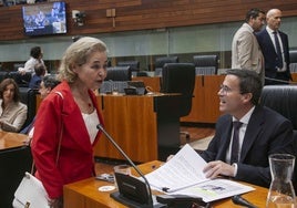 La consejera de Educación de la Junta, Mercedes Vaquera, saluda al presidente del Grupo Socialista, Miguel Ángel Gallardo.