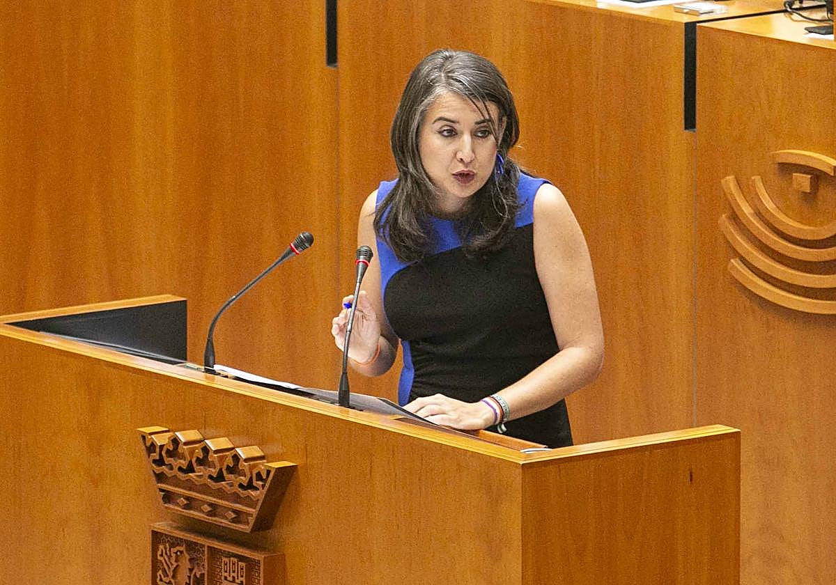 Irene de Miguel, esta mañana en la Asamblea.
