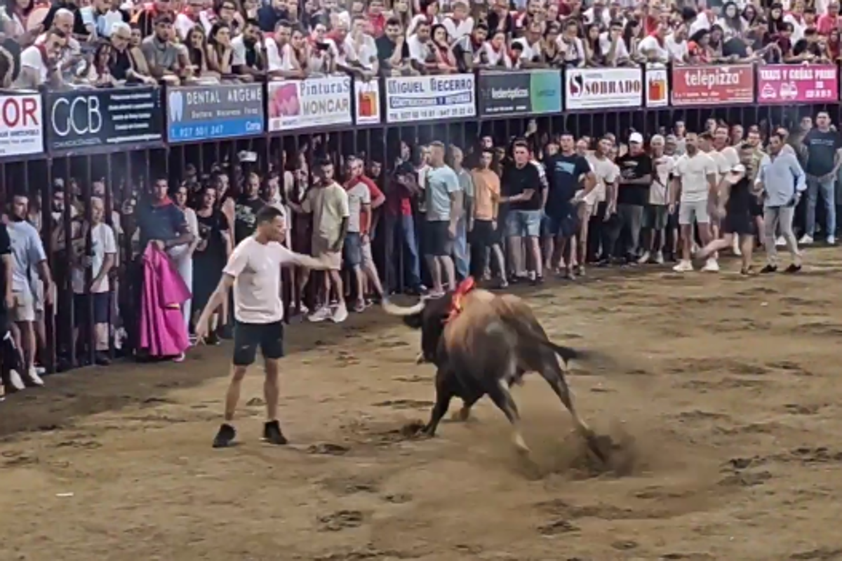 Madrugada del sábado en las fiestas de San Juan de Coria 2025.