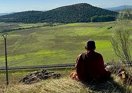 Un profesor budista de Tailandia observa los terrenos donde se iba a construir el complejo.