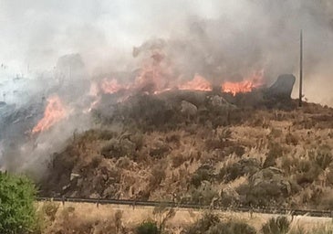 El Infoex aplaca tres incendios forestales en Montehermoso, Barcarrota y Garrovillas de Alconétar