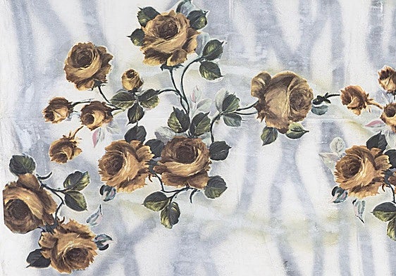 Ana Vidigal cuenta sus 'Historias de familia' en el Meiac.