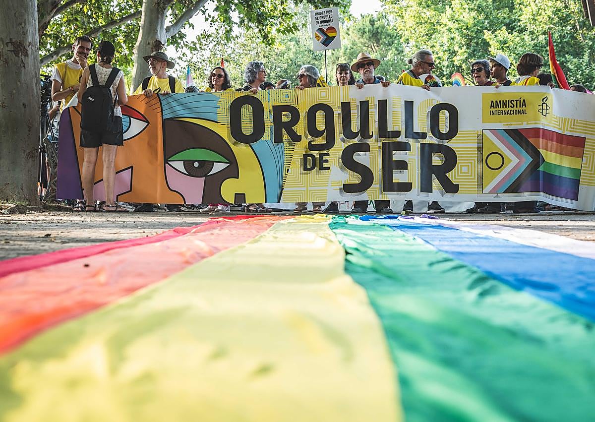 Imagen secundaria 1 - La marcha del Orgullo clama en Mérida para evitar un retroceso en los derechos LGTBI