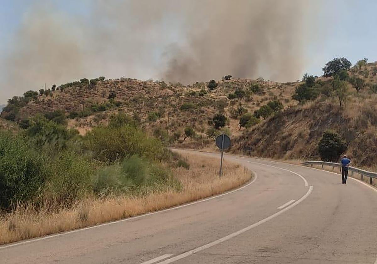 Imagen de otro incendio declarado ayer en Extremadura junto a una carretera próxima a Garrovillas de Alconétar.