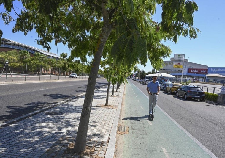 El Ayuntamiento de Badajoz comenzará a plantar 2.000 árboles desde este otoño