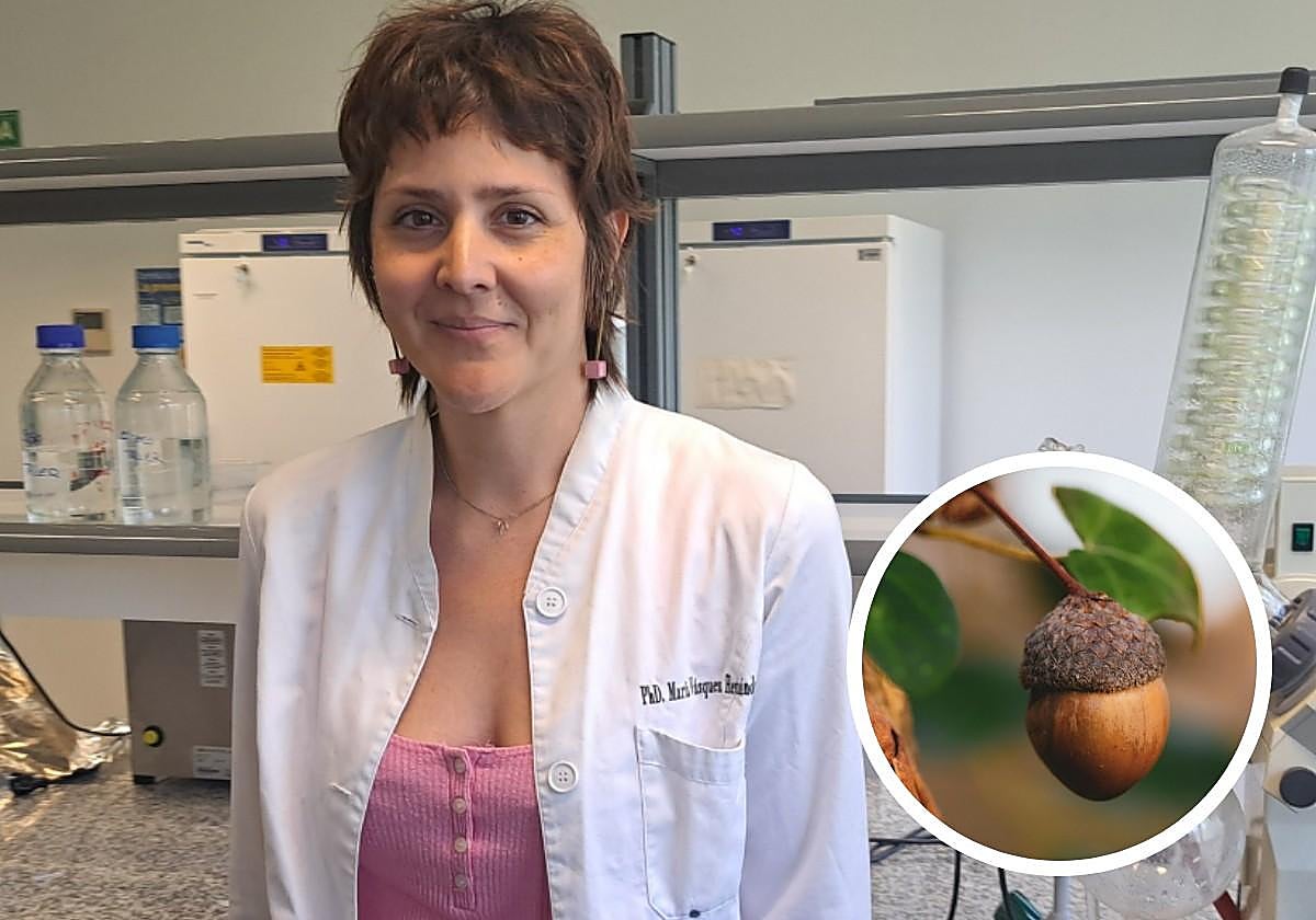 ¿La bellota puede mejorar tu salud intestinal? La UEx investiga cómo incluirla en tu dieta