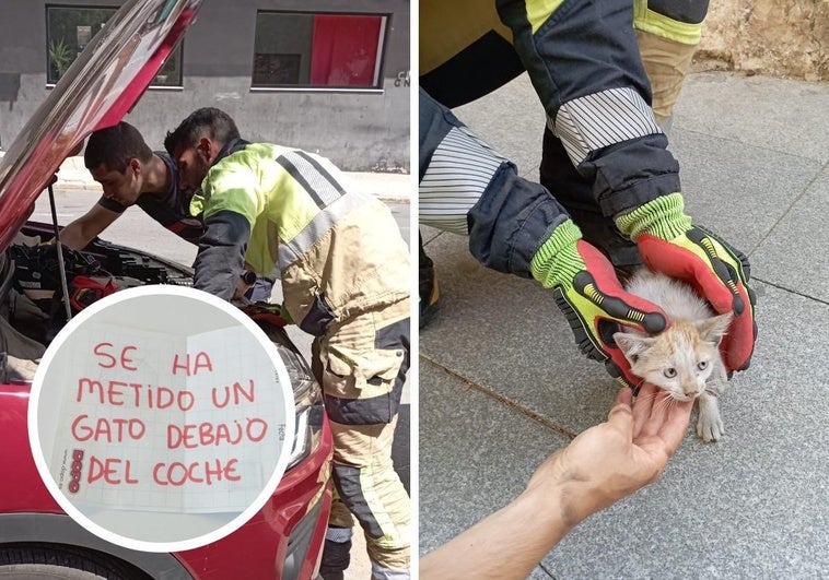 Los bomberos salvan a un gatito atrapado en plena ola de calor gracias a una nota anónima