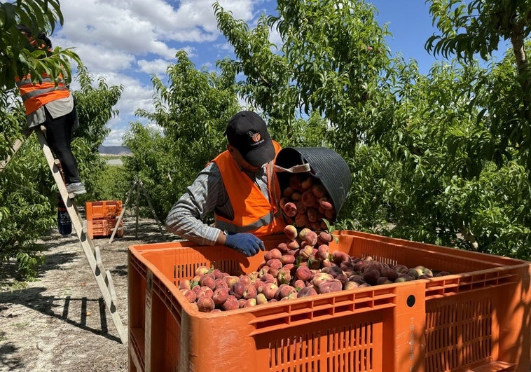 Extremadura baja por segunda vez de los 66.000 desempleados en los últimos 29 años