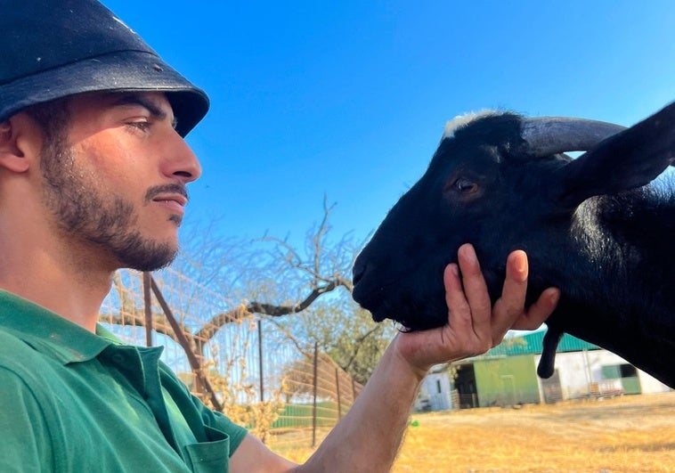 Mohammed, el palestino enamorado de Extremadura y sus cabras