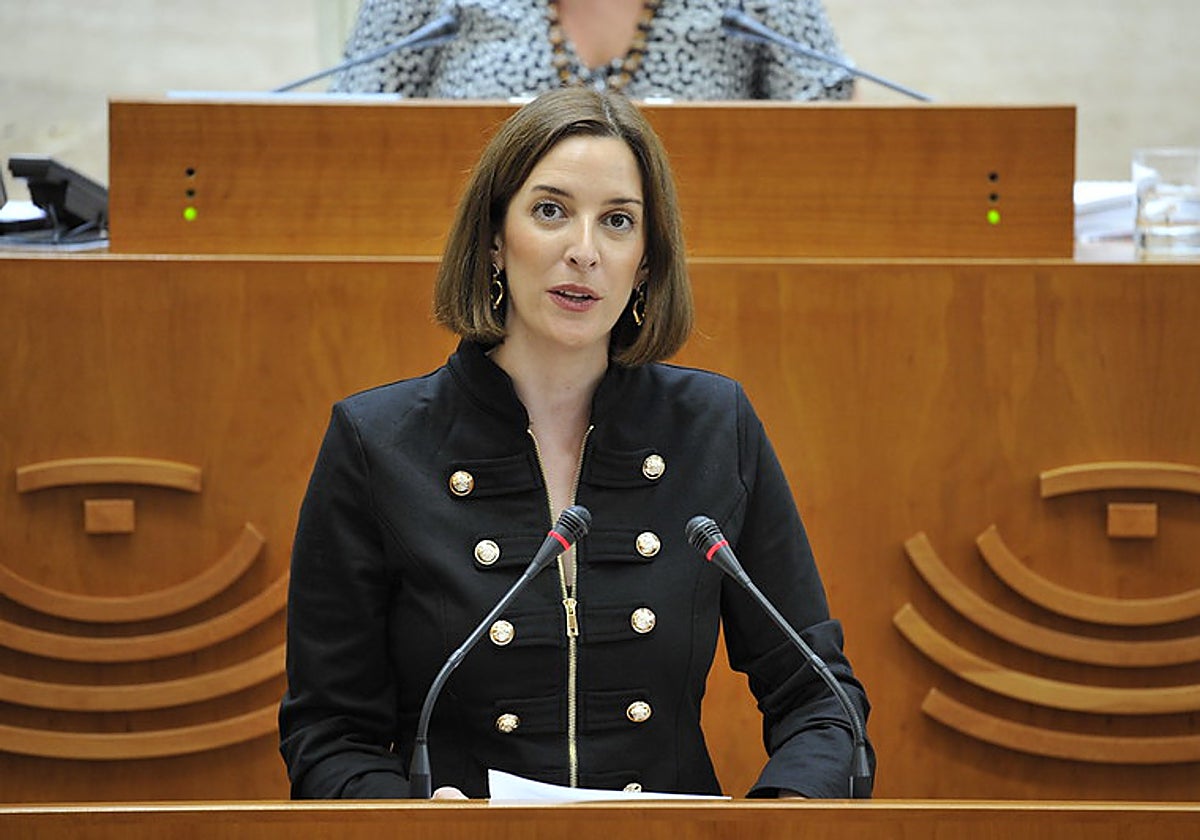 La diputada socialista Ana Fernández, este jueves en el pleno de la Asamblea.