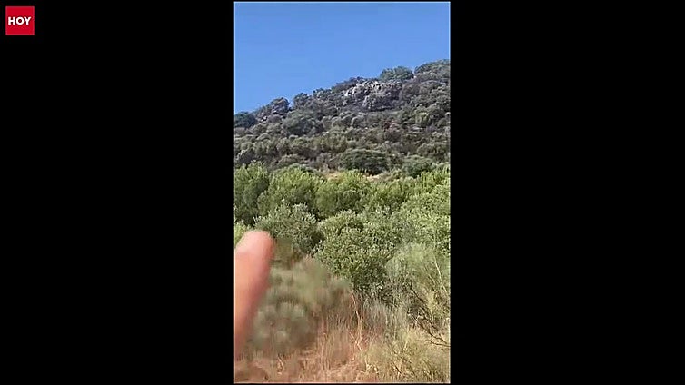 Un incendio calcina 25 hectáreas del monumento natural del Cerro Masatrigo