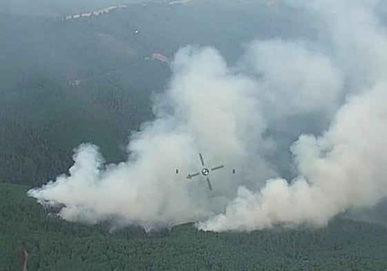 Imágenes aéreas del incendio.
