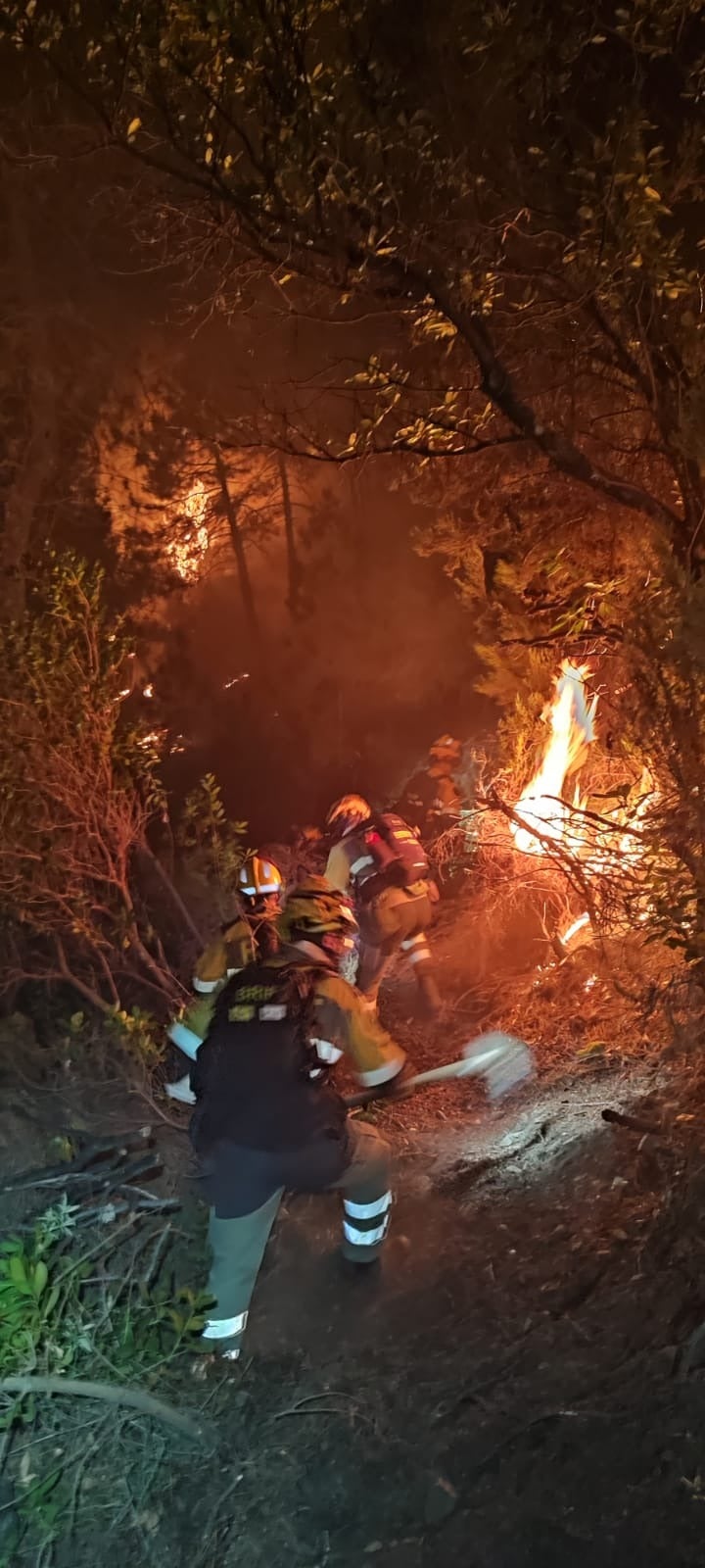 La brigada BRIF Pinofranqueado trabajaron durante toda la noche realizado linea negra empezada por la brigada presencial hasta una pasada de bulldozer. Primer tramo con apoyo y refresco de tendido de manguera del Plan Infoex.