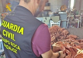 Cuatro investigados por robar más de 47.000 metros de cable de teléfono en ocho localidades de Badajoz