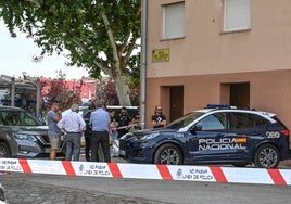 Policías nacionales durante una intervención en Badajoz.