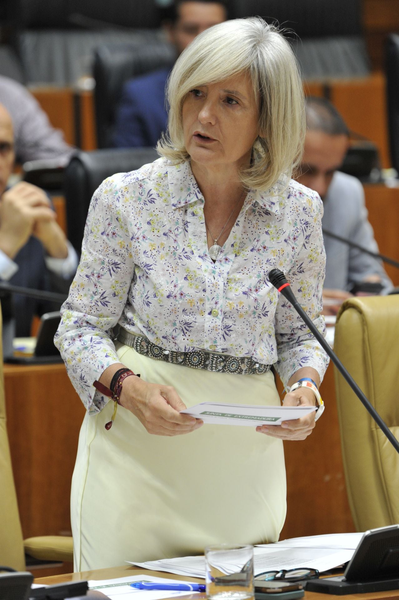 La consejera Victoria Bazaga compareciendo en la Asamblea.
