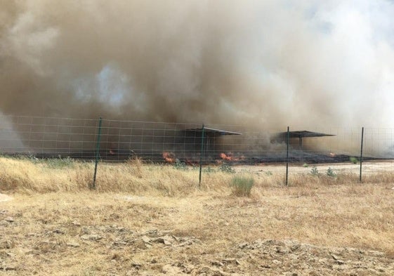 Incendio forestal en el parque eólico del Merengue, en Plasencia.