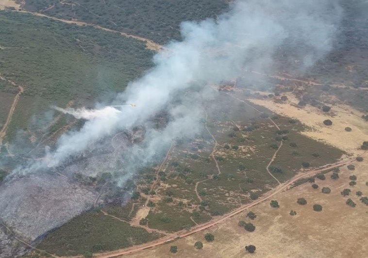 El Infoex aplaca un incendio forestal en Cáceres