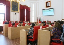 Sesión plenaria en el Ayuntamiento de Mérida.