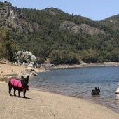 La playa de Puerto Peña en Talarrubias.