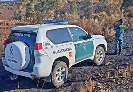 Investigan al conductor de una cosechadora por originar el incendio que quemó más de 300 hectáreas en Hornachos