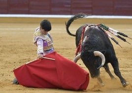 Sergio Sánchez durante su actuación en la Feria de San Juan de Badajoz de este año.