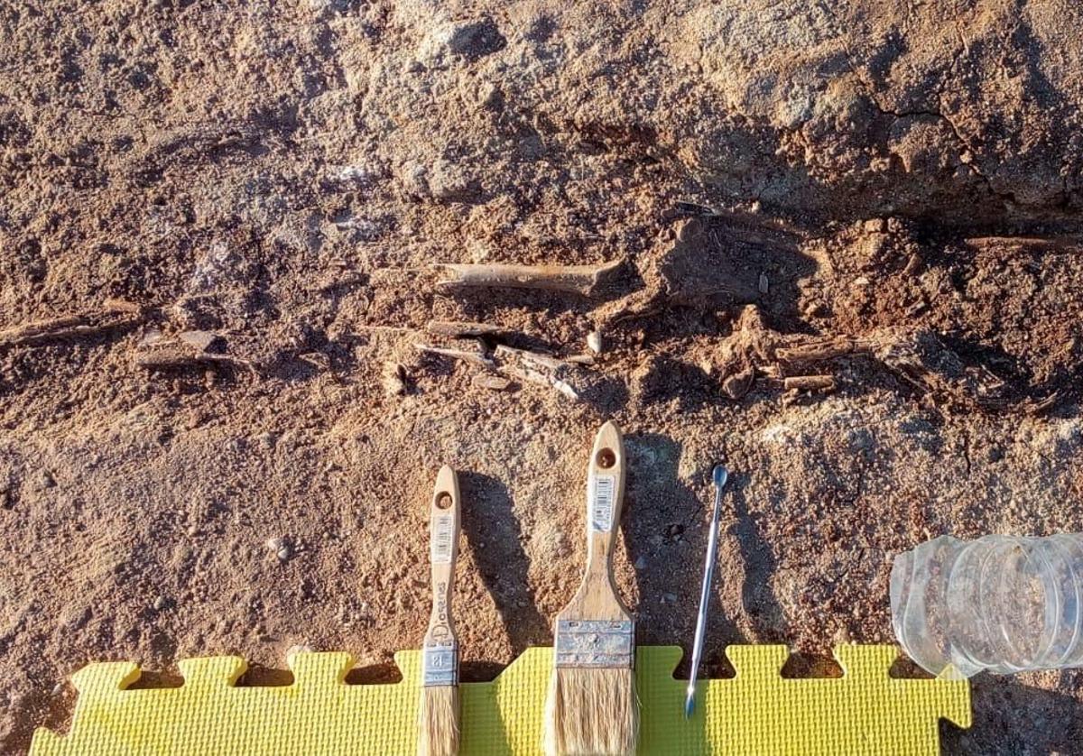 En la necrópolis se han encontrado más de 500 tumbas.