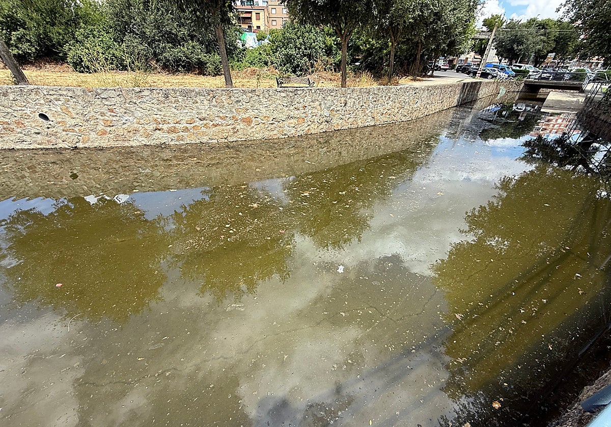 El parque de La Isla de Plasencia amanece con basura en el río y aspersores rotos tras un acto vandálico