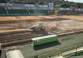 El Príncipe Felipe sigue inmerso con las obras de acondicionamiento del nuevo césped.
