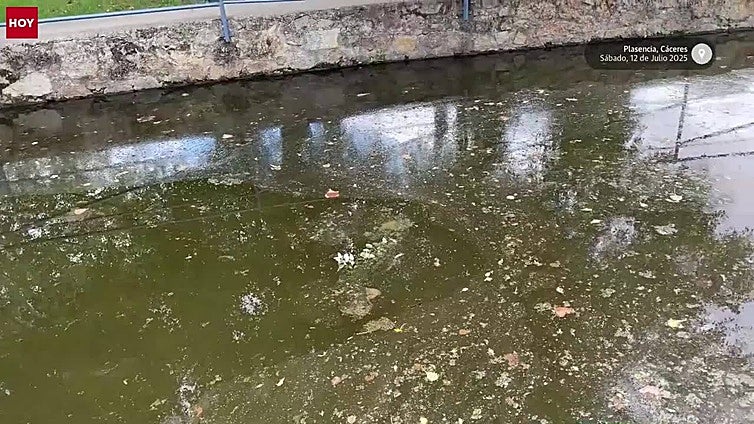 El parque de La Isla de Plasencia amanece con basura en el río y aspersores rotos tras un acto vandálico