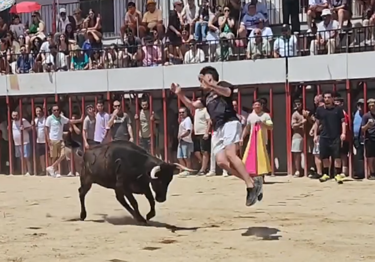 Saltos a la vaquilla este domingo en la plaza de toros de Moraleja