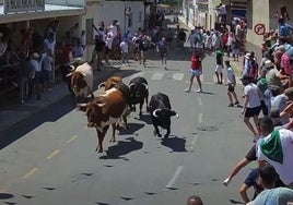 Un momento del encierro con los animales de la ganadería Chamaco.