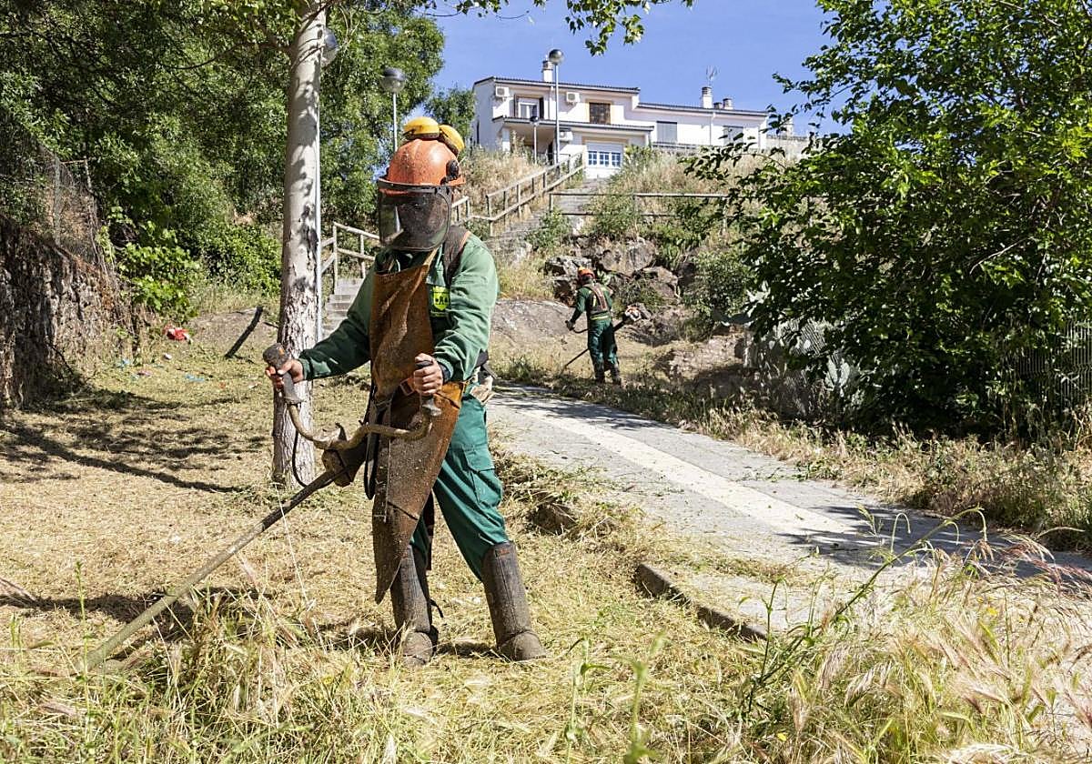 Desbroce en las traseras de la residencia de Alzheimer.