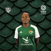 Cartel de renovación de Noko Matlou.