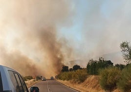 El humo del incendio afectaba a una carretera al estar las llamas junto a la vía..
