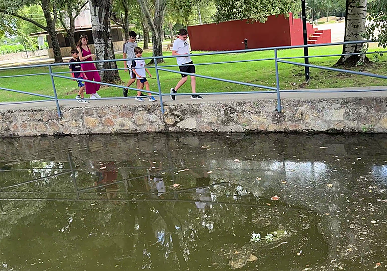 Tramo del canal que fue objeto el pasado fin de semana de actos vandálicos.