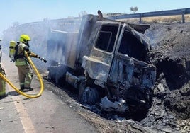 Camión accidentado en Hinojal.