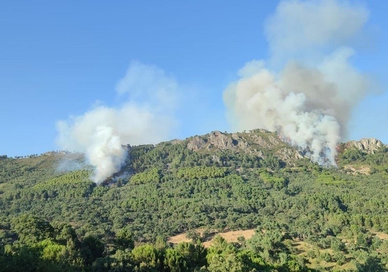 Columnas de humo provocadas por los dos focos registrados en el incendio. Estado durante la tarde del viernes