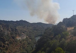 Columna de humo que se ve desde la presa del incendio forestal de Valdeobispo