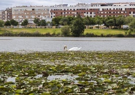 Río Guadiana a su paso por Badajoz