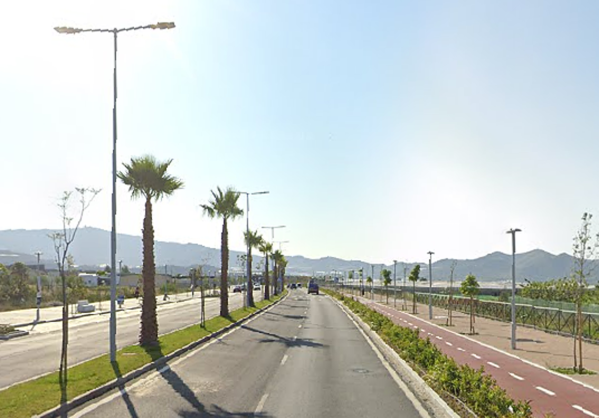 Avenida Costa Tropical de Motril, donde tuvo lugar el suceso.