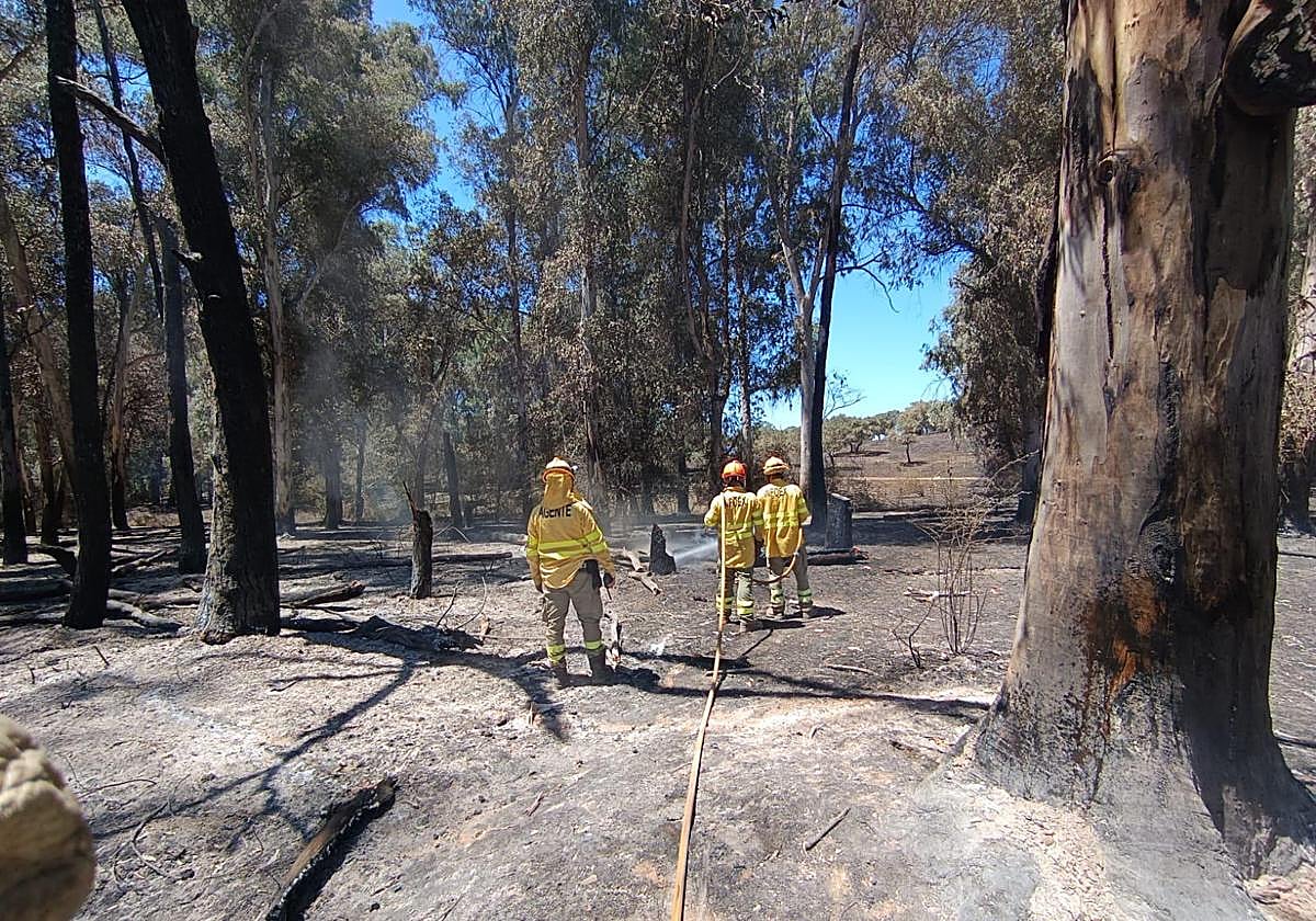El Infoex da por controlado el incendio de Valdecaballeros que arrasó 2.400 hectáreas