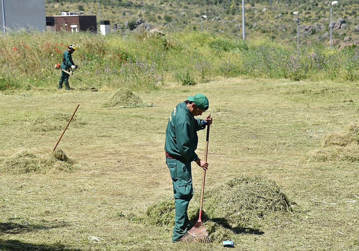 Las brigadas verde y de limpieza se beneficiarán de la medida.