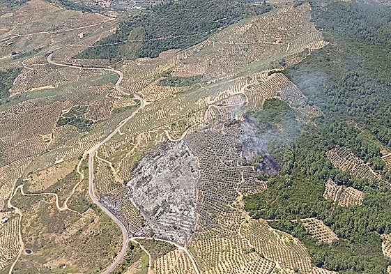 Columna de humo del incendio declarado este martes en Mohedas de Granadilla.