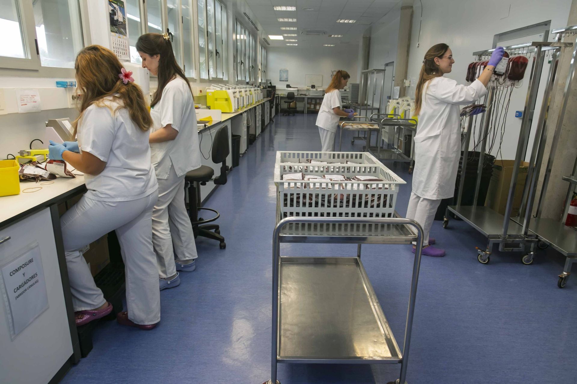 Fotos | Extremadura pide donaciones de sangre